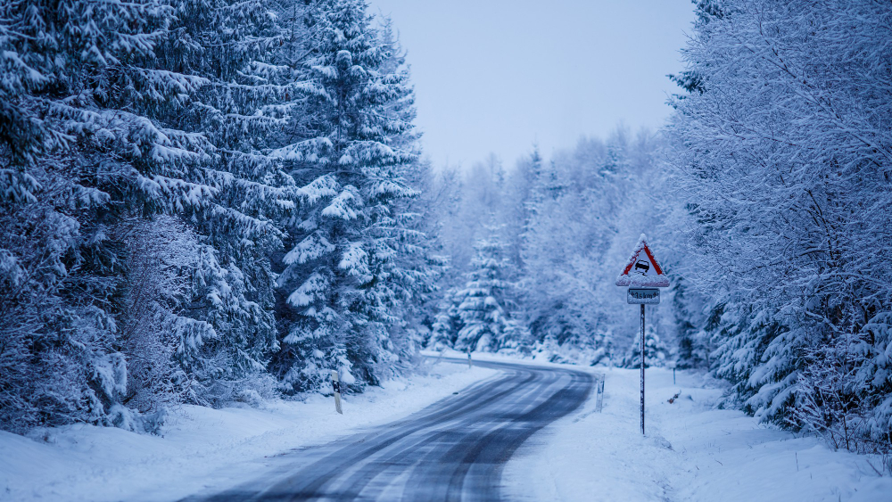 beautiful-scenery-iced-road-surrounded-by-fir-trees-covered-with-snow