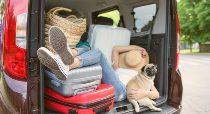 Sleeping Girl Car Trunk With Cute Pug Luggage Travel Concept